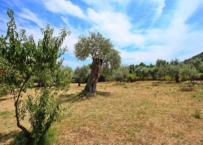 Διαμέρισμα Panos House Κοίνυρα